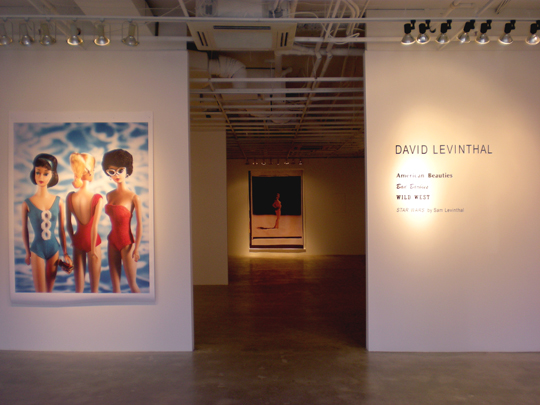 David Levinthal at Ochi Gallery