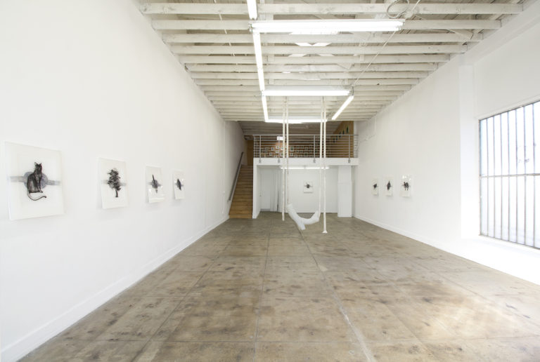 Installation image of Camille Schefter Antinome, Ochi Projects, Los Angeles, CA