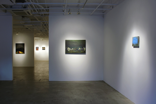 Installation image of Aaron Pearson Truth itself is made at Ochi Gallery, Ketchum, ID