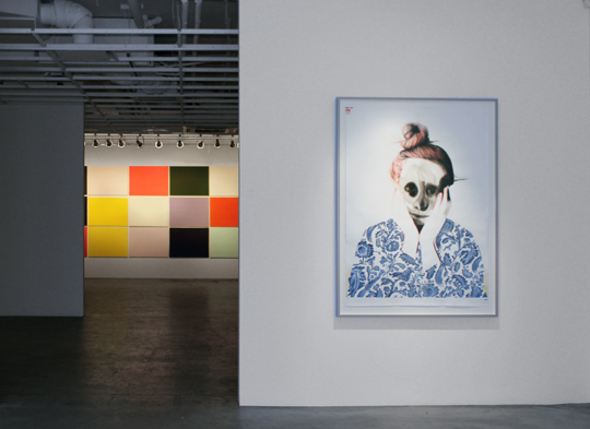 Installation image of Megan Murphy and Storm Tharp at Ochi Gallery, Ketchum, ID