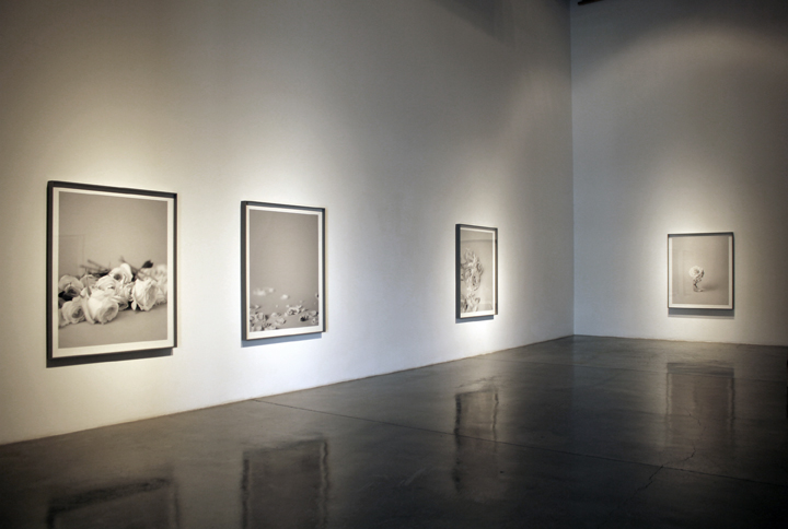 Installation image of Bing Wright Roses, Silver & Mirror: Photographs 2006-2012 at Ochi Gallery, Ketchum ID
